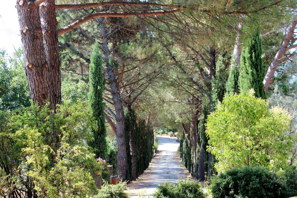 Agriturismo Antico Borgo Poggitazzi Loro Ciuffenna Extérieur photo